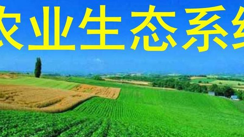 生鲜配送箱的步骤与流程揭秘