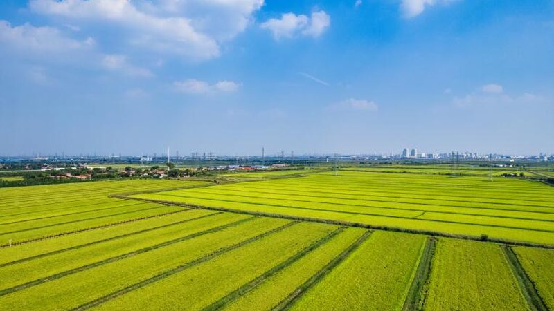 农机专业合作社章程范本：构建规范运营的基石