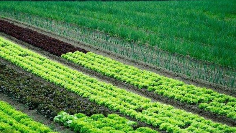 农机补贴申请条件地域差异解析