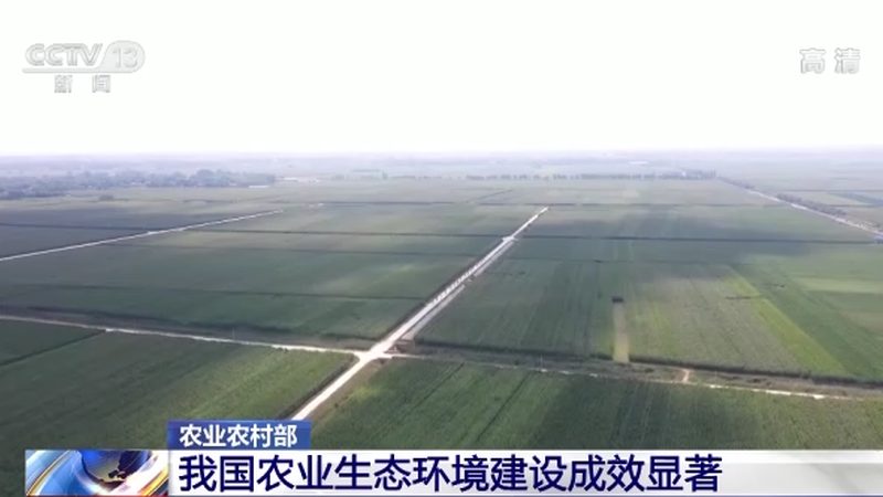 绿色食品认证：揭秘代理价格背后的价值与考量