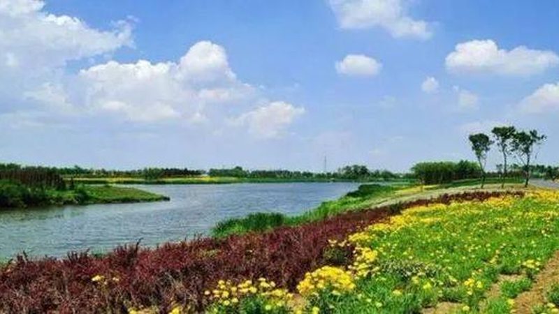 农业研学基地功能区划分：打造高效学习与实践平台**
