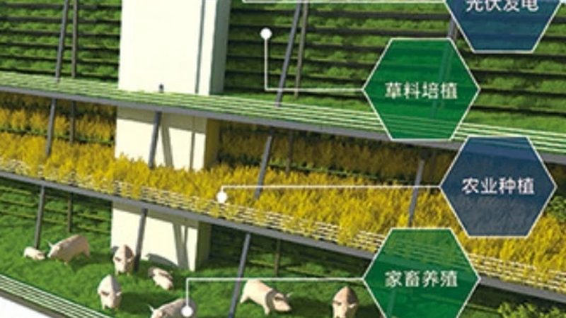 短视频是抖音平台的主要形式，家庭农场主在制作短视频时，可遵循以下原则：