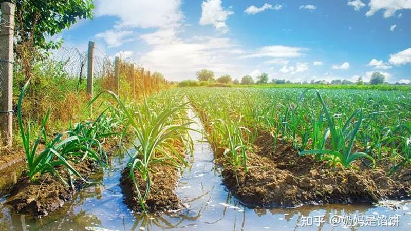配送范围通常包括以下几个方面：