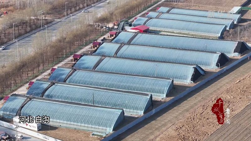 农业项目补贴申请，如何选择专业代理公司？**