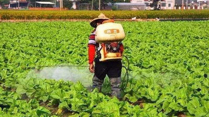 成都平原的智慧农业传感器，到底该怎么选型
