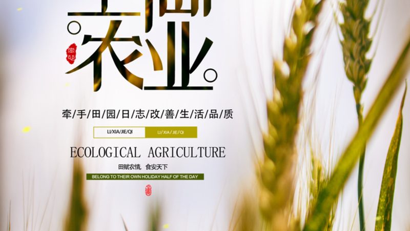 成都农产品批发市场进货攻略