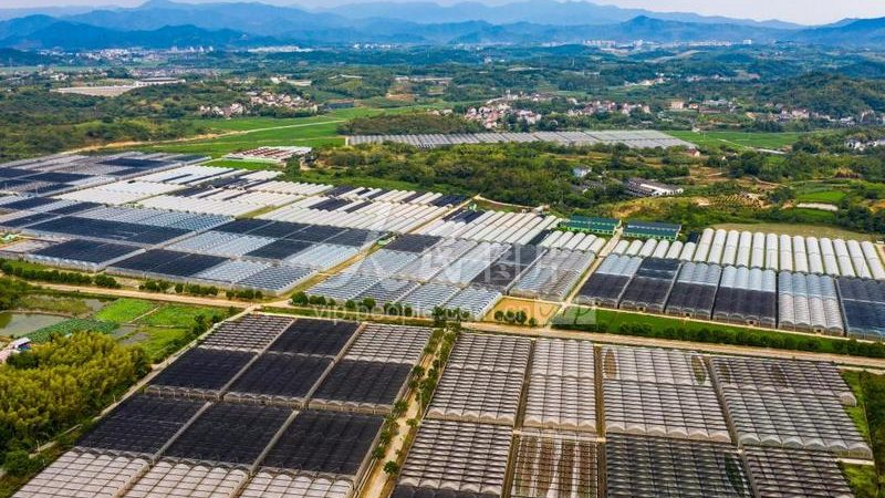 选择一个有实力、口碑良好的加盟品牌至关重要。投资者可以从以下几个方面进行考察：