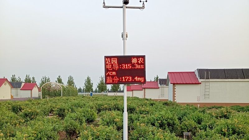 现代农业产业园加盟：揭秘利润背后的关键因素**